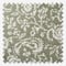 Shimla Thyme roman