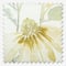 Wild Garden Cotton Chintz roman