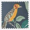 Sumatra Cobalt roman