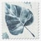 Whimsical Sapphire roman