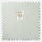 Sophie Allport Bears Sage roman