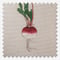 Sophie Allport Garden Vegetables Cream roman