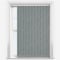 Savanna Zebra vertical