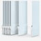 Carnival Blackout China White vertical