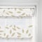 Classica Primrose vision