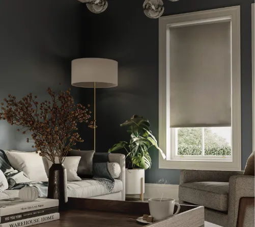 Thermal Roller Blinds