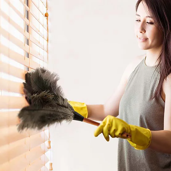 Ostrich Feather Duster accessory