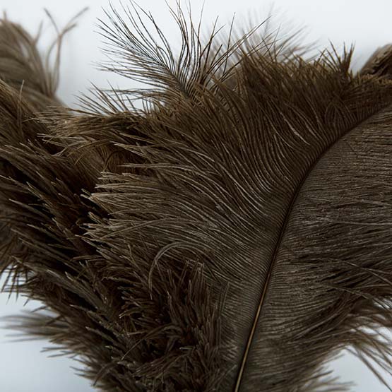 Ostrich Feather Duster accessory