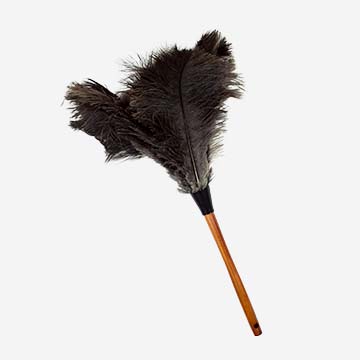 Ostrich Feather Duster Accessory