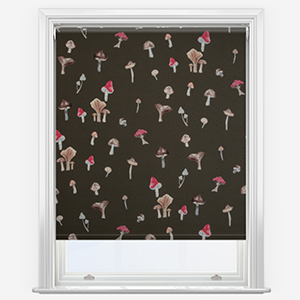 Sonova Studio Mushroom Forage Bark