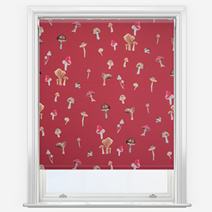 Sonova Studio Mushroom Forage Red