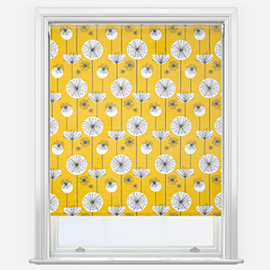 Sonova Studio Nordic Pods Ochre