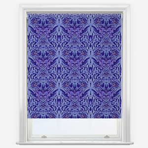 Sonova Studio Royal Reef Cobalt Blue