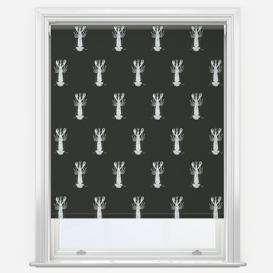 Sonova Studio Mr Lobster Noir Roller Blind