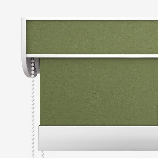 Pop Blackout Fern roller