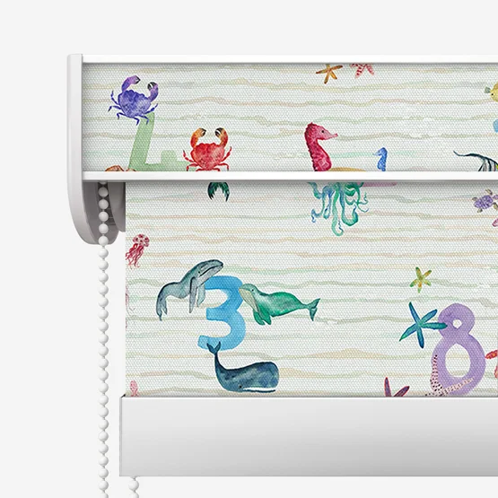 Sonova Studio Counting Shells Multi roller