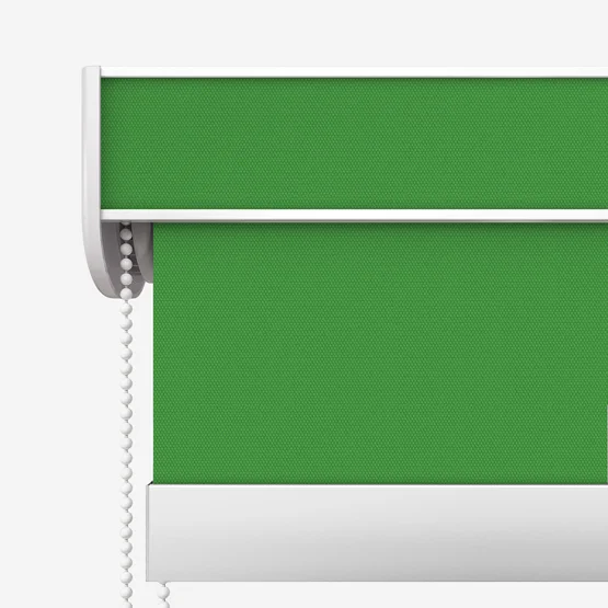 Sonova Studio Essenza Shamrock Green roller