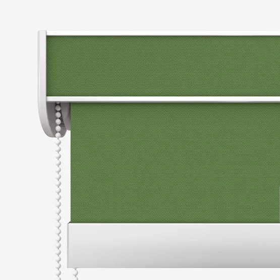 Sonova Studio Essenza Thyme Green roller