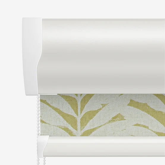 Acacia Caraway roller
