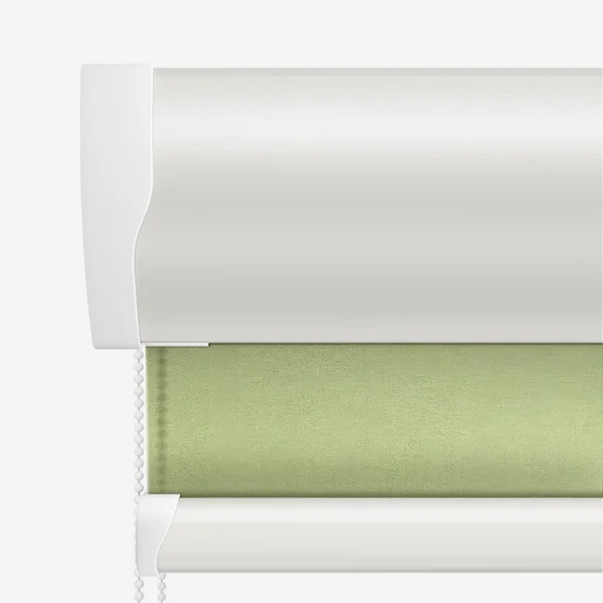 Pop Fern roller