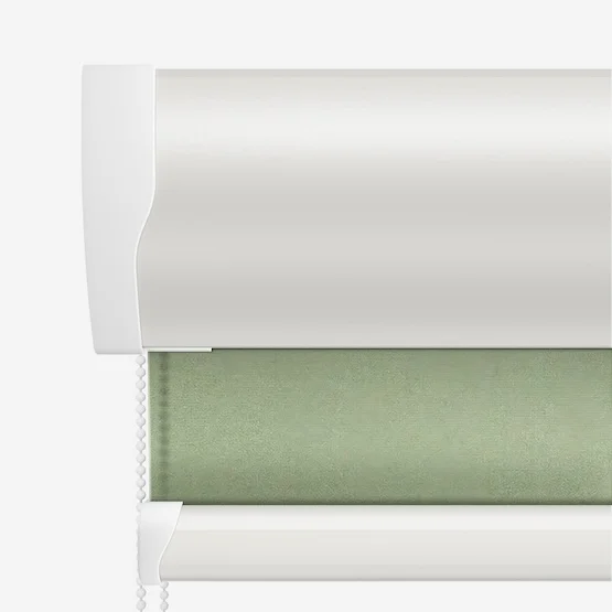 Pop Ivy roller