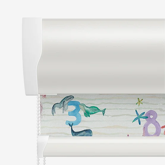 Sonova Studio Counting Shells Multi roller