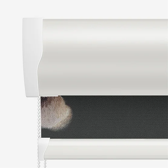 Sonova Studio Fergus Charcoal roller
