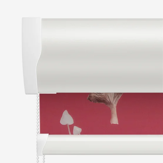 Sonova Studio Mushroom Forage Red roller