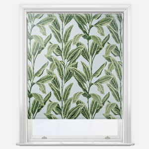 Tropical Palm Aloha