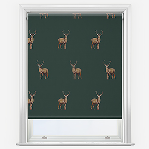 Sonova Studio Argyll Forest Green Roller Blind