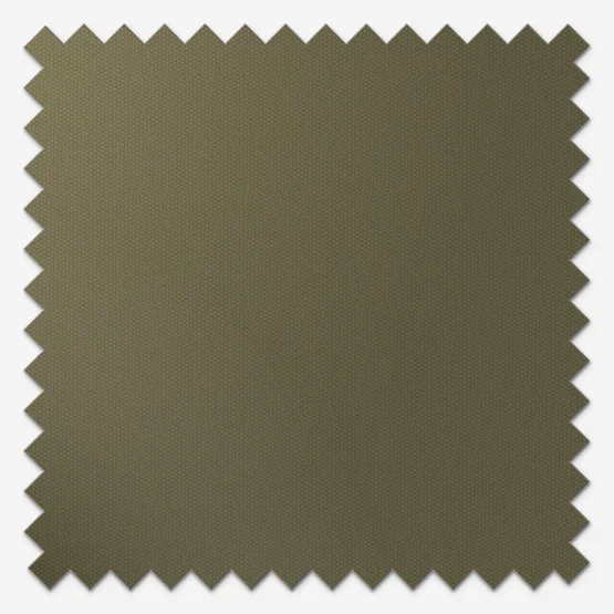 Coulisse Berlin Pine roller