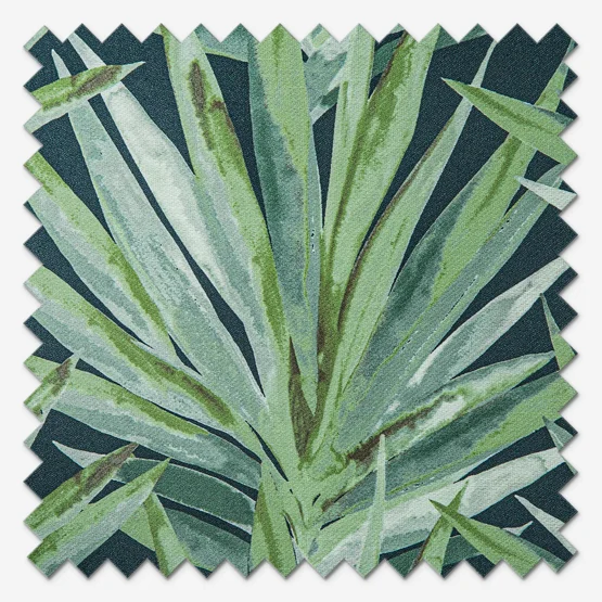 Tropic Rumba roller