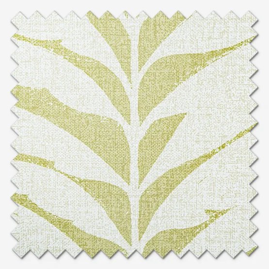 Acacia Caraway roller