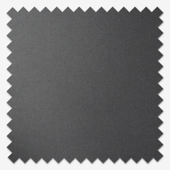 Carnival Blackout Anthracite roller