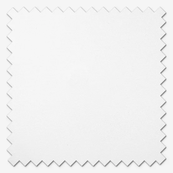 Carnival Blackout China White roller