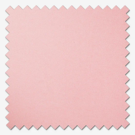 Carnival Blackout Pink roller