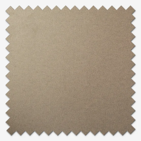Carnival Blackout Praline roller
