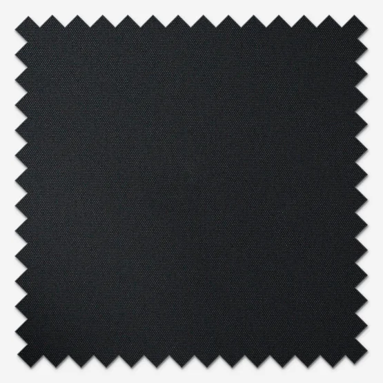 Carnival Blackout Raven roller