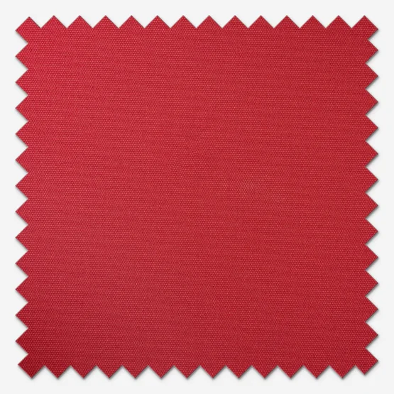 Carnival Blackout Red roller