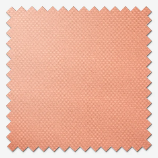 Carnival Blackout Terracotta roller