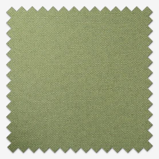 Pop Blackout Fern roller