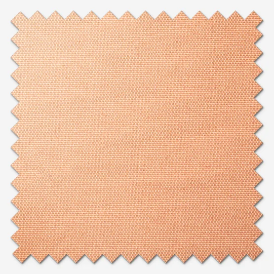 Pop Blackout Terracotta roller
