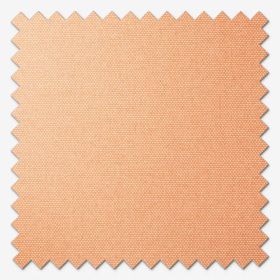 Pop Terracotta roller