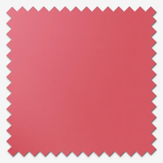 Sonova Studio Essenza Chintz Pink roller