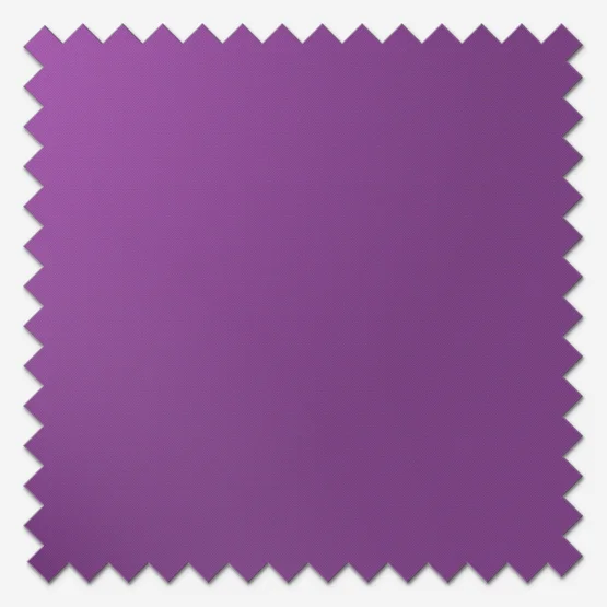 Sonova Studio Essenza Dark Orchid roller