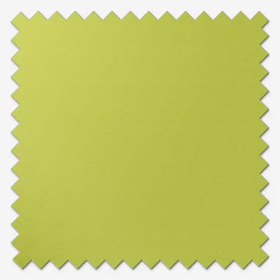 Sonova Studio Essenza Mojito Green roller