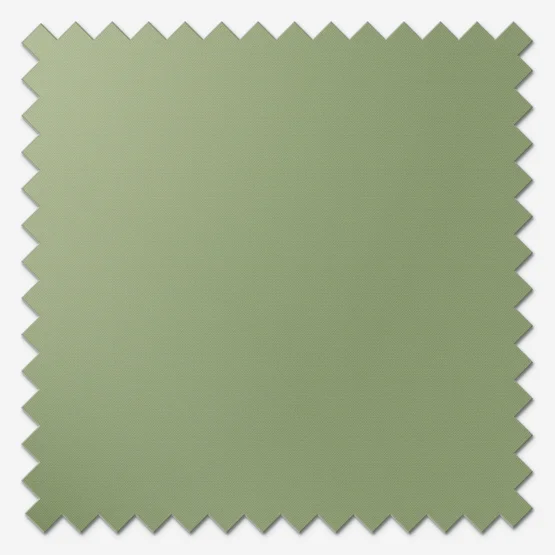 Sonova Studio Essenza Sage Green roller