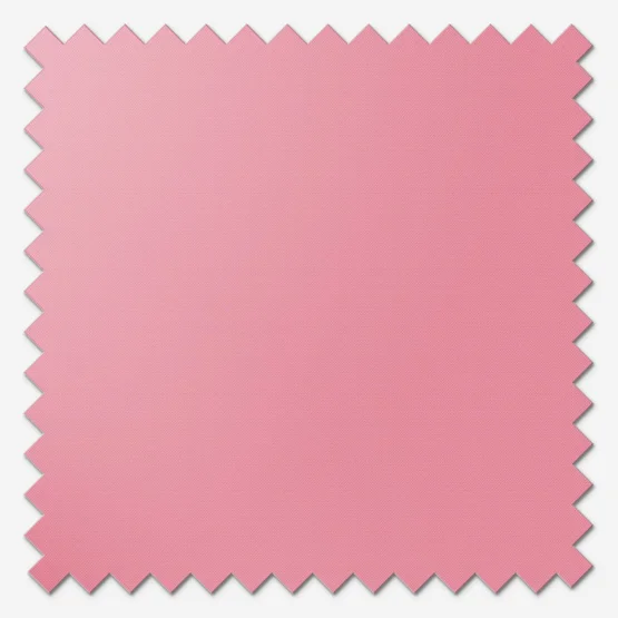 Sonova Studio Essenza Salmon Pink roller