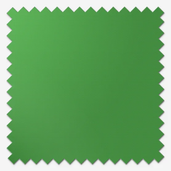 Sonova Studio Essenza Shamrock Green roller