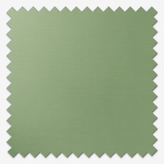 Sonova Studio Luma Fern Green roller